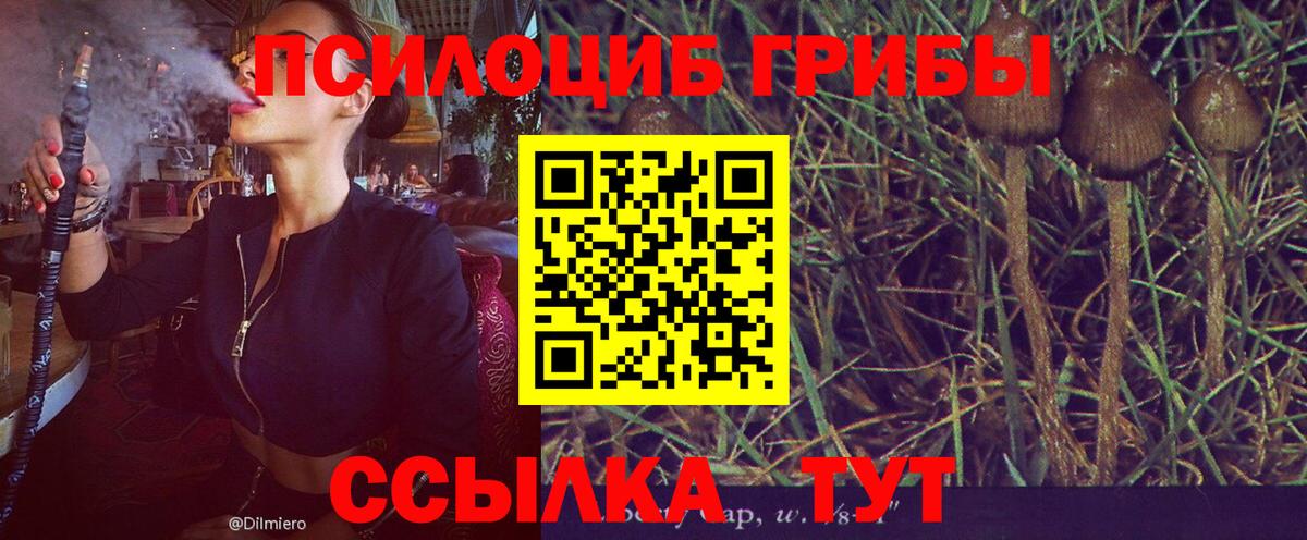 Галлюциногенные грибы прущие грибы  Вход с VPN  Братск 